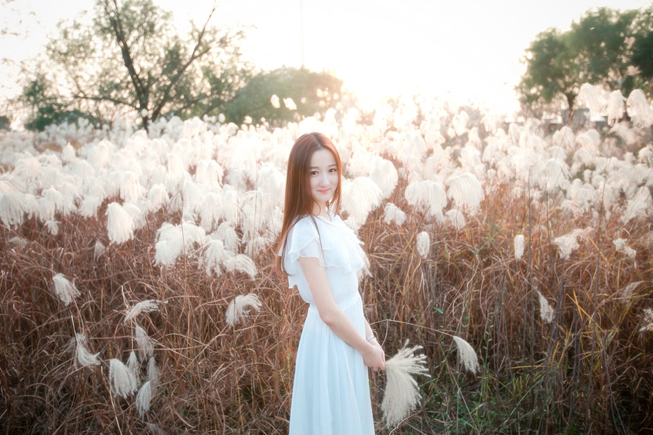点击大图看下一张：在芦苇中的气质美女白纱裙如诗一般的美丽