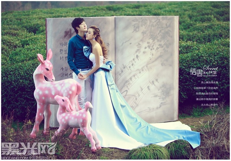 点击大图看下一张：情书里的秘密 婚纱摄影