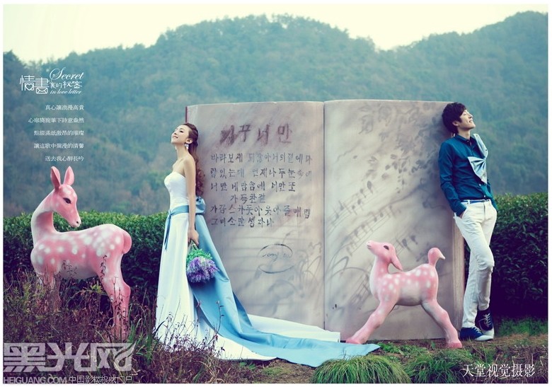 点击大图看下一张：情书里的秘密 婚纱摄影