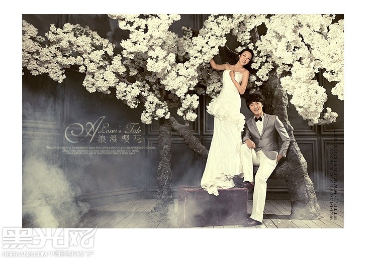 点击大图看下一张：浪漫樱花 婚纱摄影