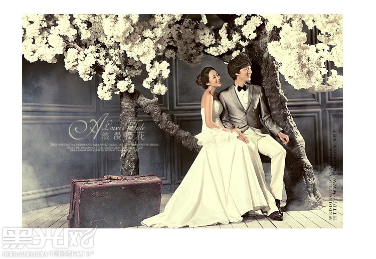 点击大图看下一张:浪漫樱花 婚纱摄影