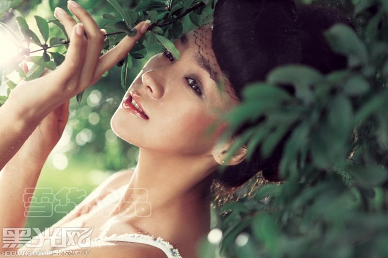点击大图看下一张:传说的"森林系" 婚纱摄影