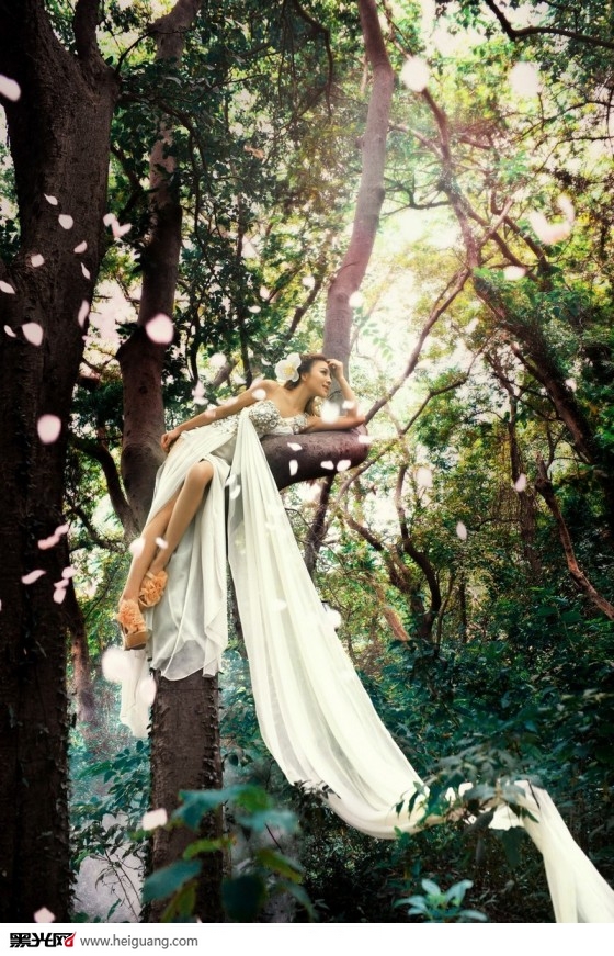 点击大图看下一张：在树上唱歌 婚纱摄影
