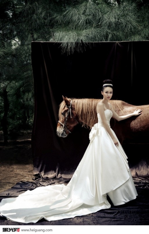 点击大图看下一张：丛林幻想 婚纱摄影