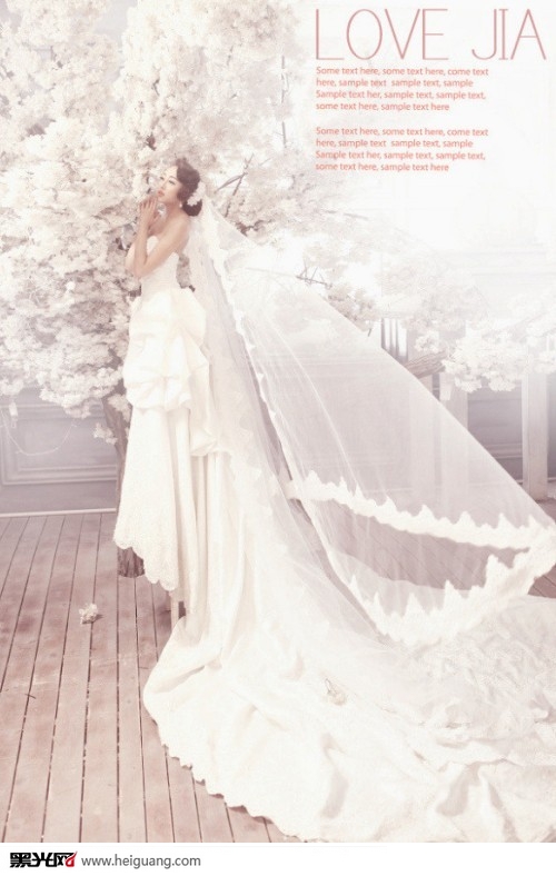 点击大图看下一张：Elegant lady 婚纱摄影