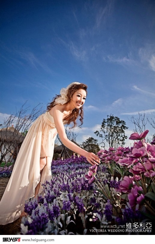 点击大图看下一张：花海 婚纱摄影