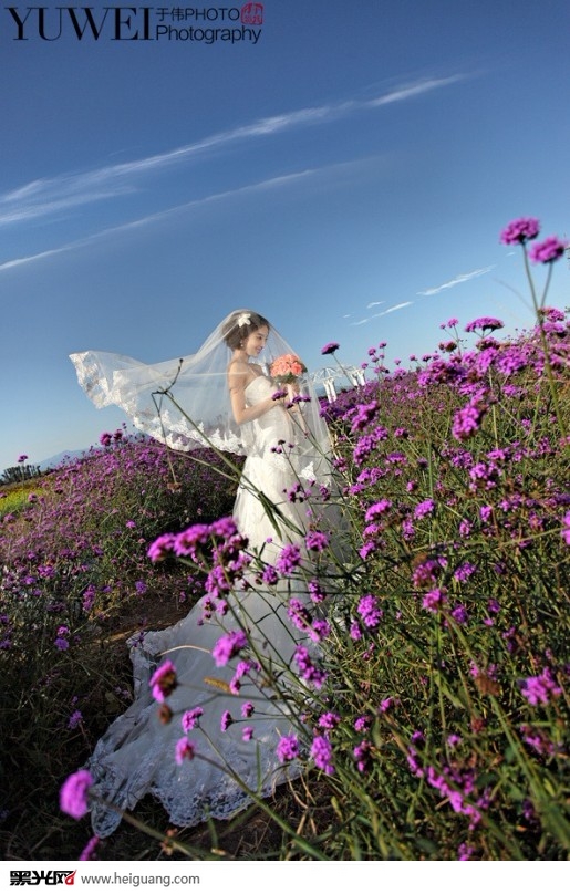 点击大图看下一张：爱的芬芳 婚纱摄影