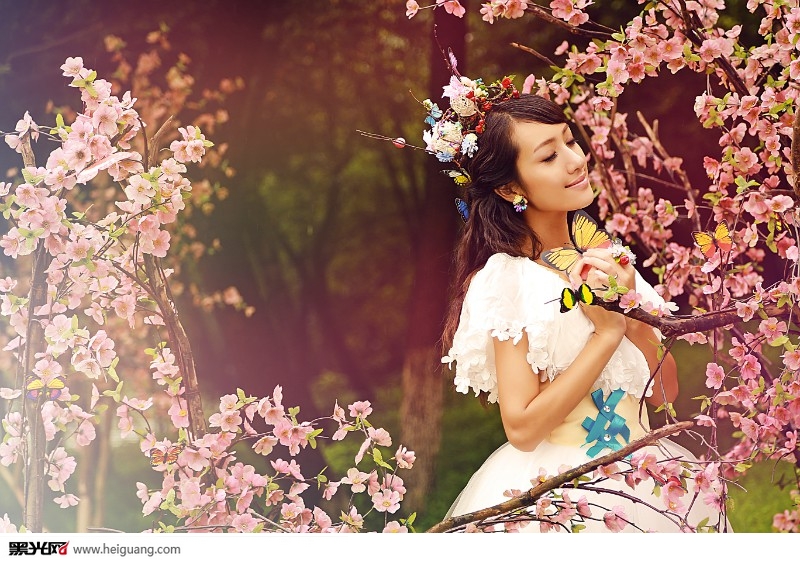 点击大图看下一张：蝶恋花 婚纱摄影