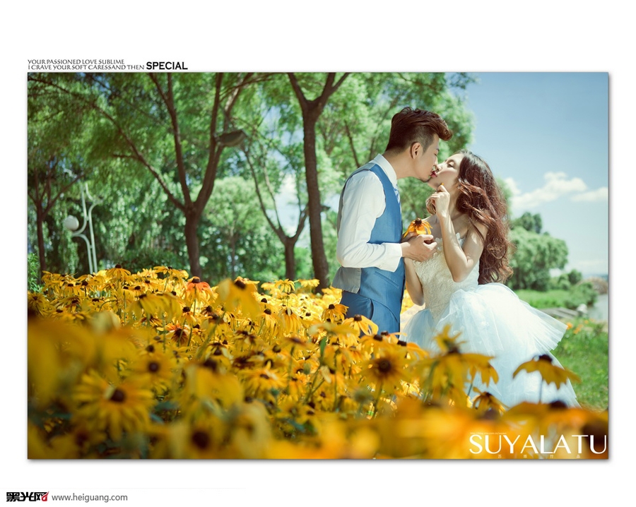 点击大图看下一张:向阳花 婚纱摄影