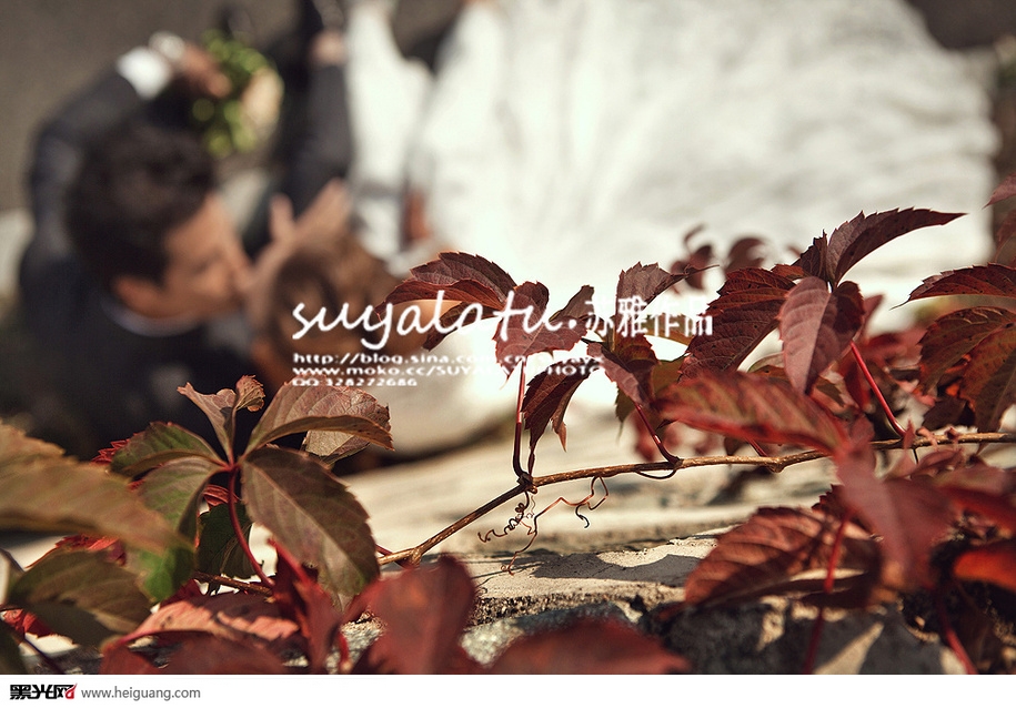 点击大图看下一张：长春记 婚纱摄影