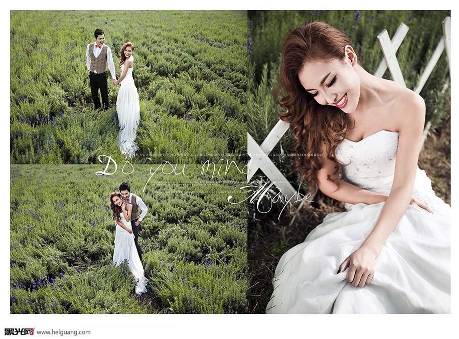 点击大图看下一张:薰衣草 婚纱摄影