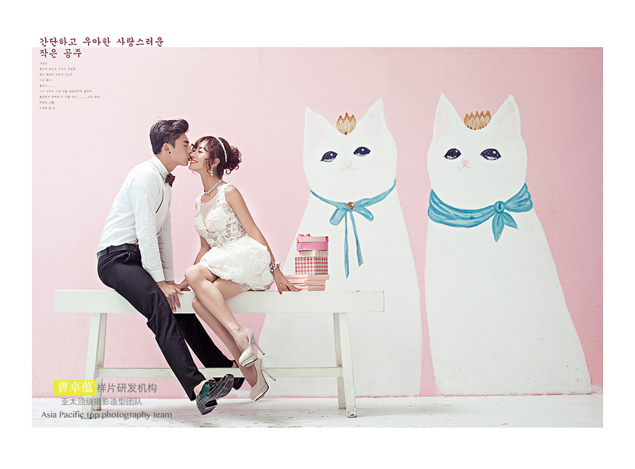 点击大图看下一张：韩式小清新 婚纱摄影
