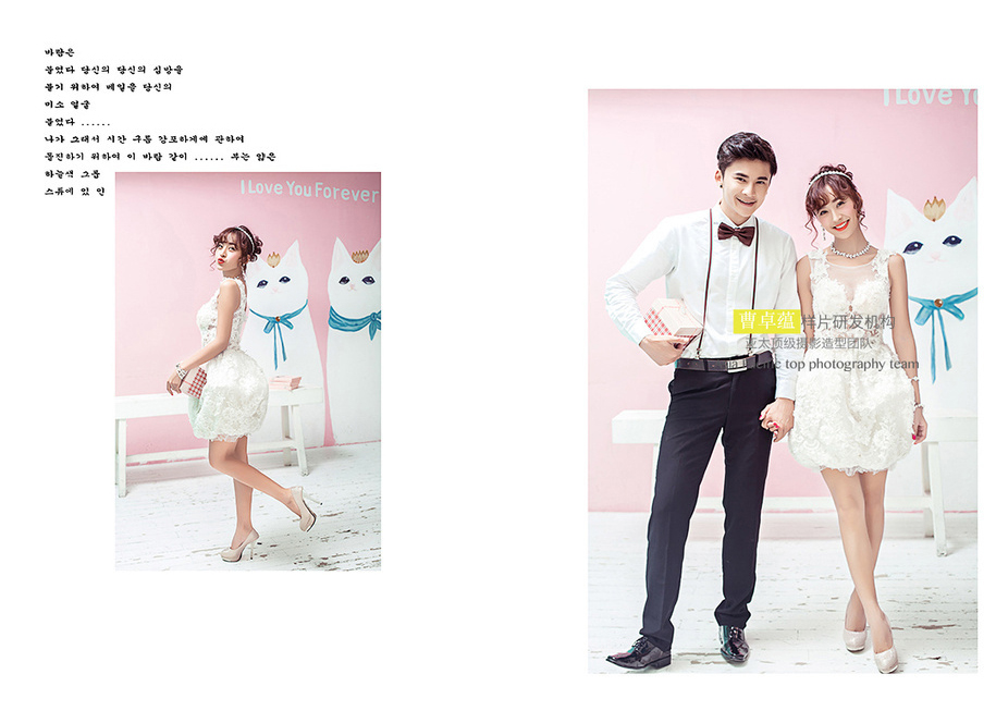 点击大图看下一张：韩式小清新 婚纱摄影
