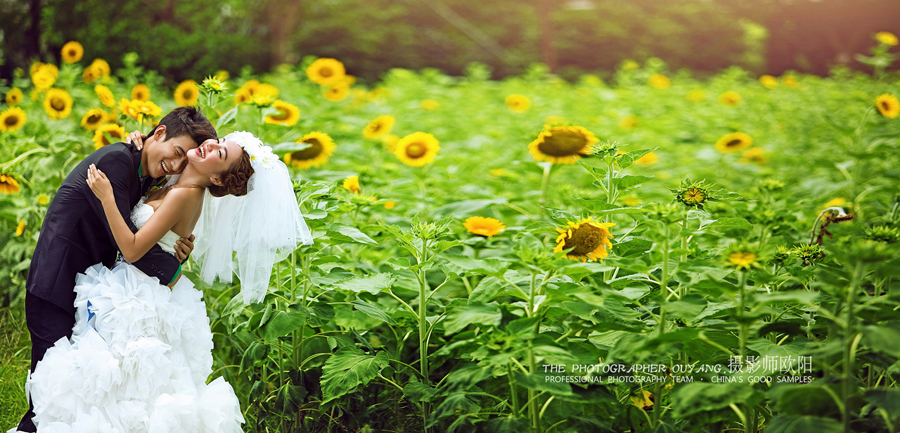 点击大图看下一张：向日葵 婚纱摄影