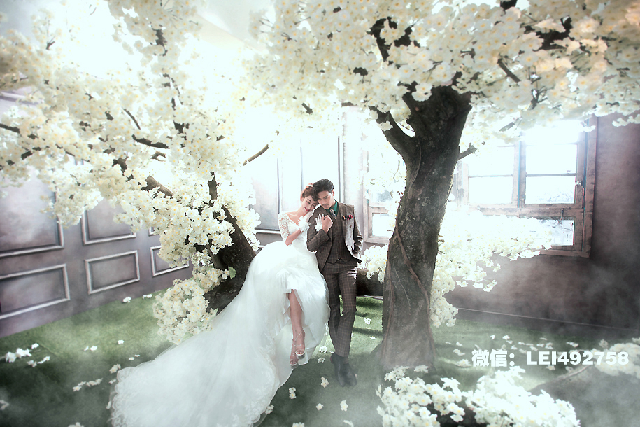 点击大图看下一张：樱花树下 婚纱摄影
