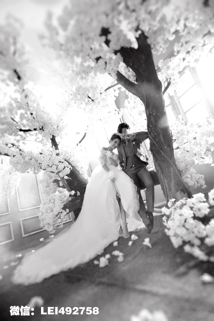 点击大图看下一张：樱花树下 婚纱摄影