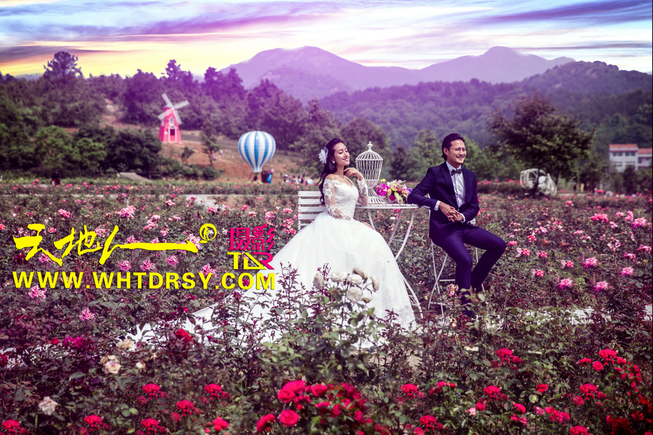 点击大图看下一张：玫瑰王国 婚纱摄影