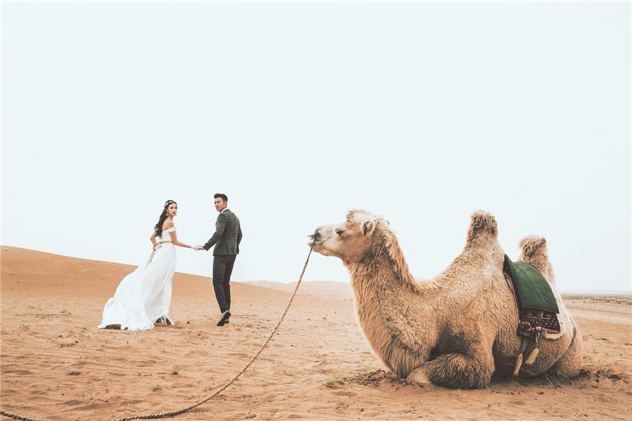 点击大图看下一张：沙漠之旅 婚纱摄影