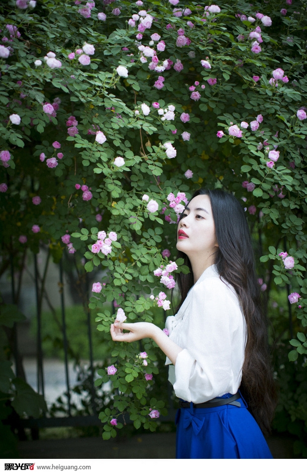 点击大图看下一张：风吹雨成花 写真摄影