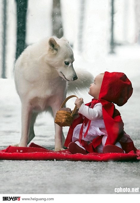 点击大图看下一张：小红帽和大灰狼 儿童摄影