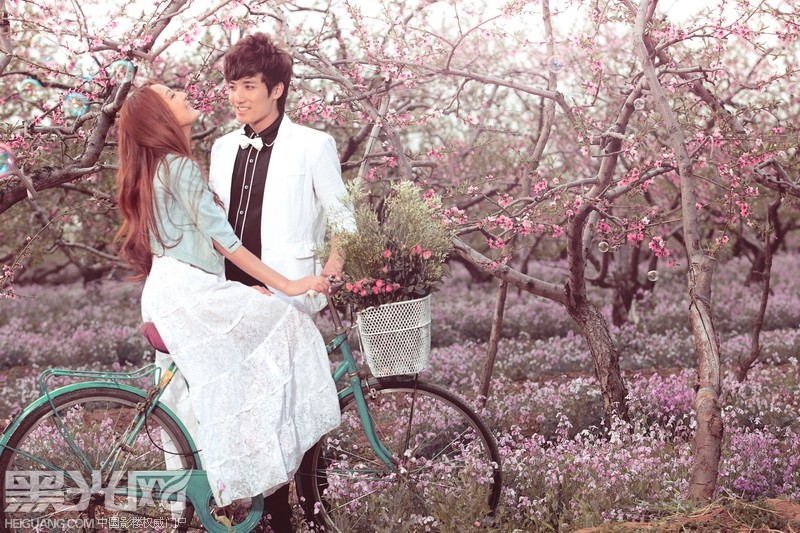 点击大图看下一张:落花纷飞的时候 数码后期