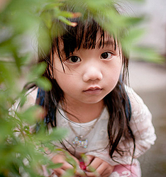 夏雨の萝莉
	
		作者：一界蓝