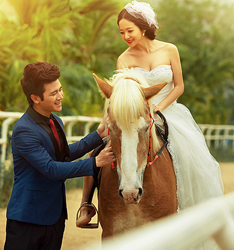 我们的专属幸福
	
		作者：冯世华