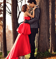 红枫林
	
		作者：OSCAR