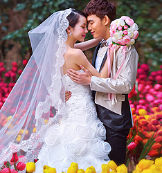 郁金香花海
	
		作者：古摄影