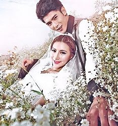 爱在满天星
	
		作者：花仙子摄影