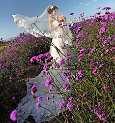 爱的芬芳
	
		作者：于伟