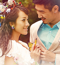 蝶恋花
	
		作者：陈西