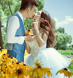 向阳花
	
		作者：苏雅