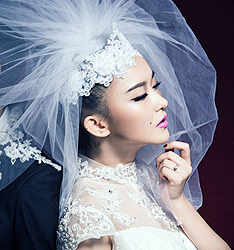 黑天鹅
	
		作者：张鱼