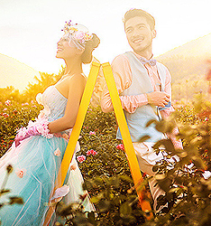 玫瑰园
	
		作者：老习