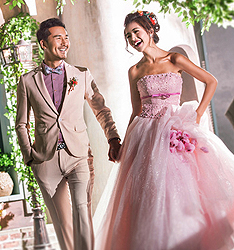 爱情树
	
		作者：高伟