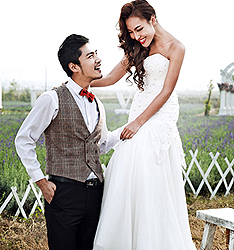 薰衣草
	
		作者：易隆