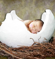 百天
	
		作者：德子视觉