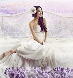 薰衣草庄园
	
		作者：杨雷