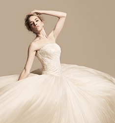 唯美新娘
	
		作者：柳宗源