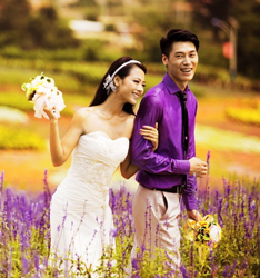 情迷普罗旺斯
	
		作者：王浩