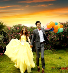 花语
	
		作者：光光