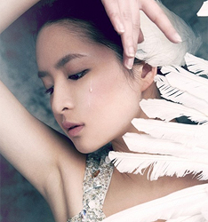 天鹅湖
	
		作者：何力