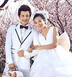 陶花园
	
		作者：冯世华