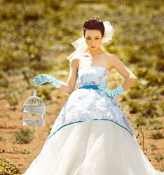 花
	
		作者：洛克摄影会所