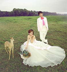 爱情童话
	
		作者：村长焘哥