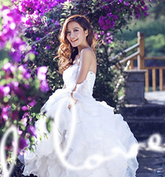 情满风情岛
	
		作者：莫家君