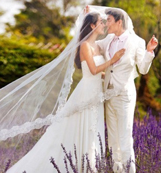 与我香遇
	
		作者：罗凯