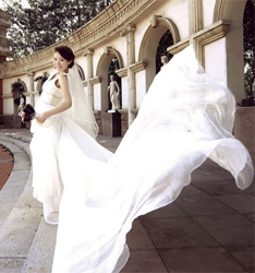 誓言
	
		作者：光光