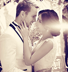 爱在蝴蝶森林
	
		作者：王超义